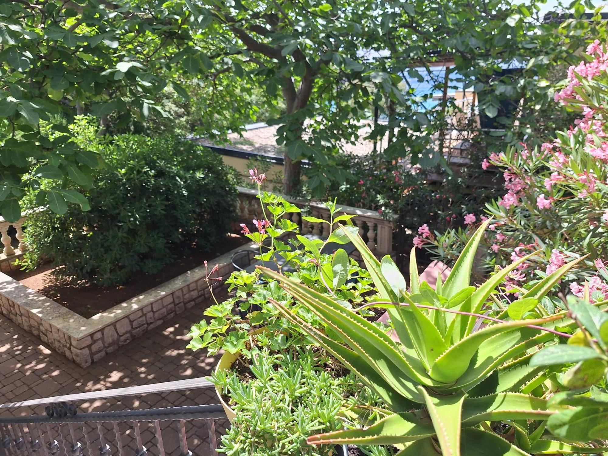 סנג' Villa Haus Niko מראה חיצוני תמונה
